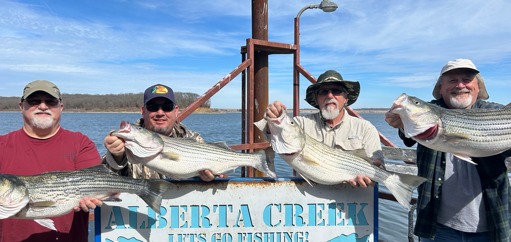 Lake Texoma Fishing Report :: Chasing the big fish - printed from